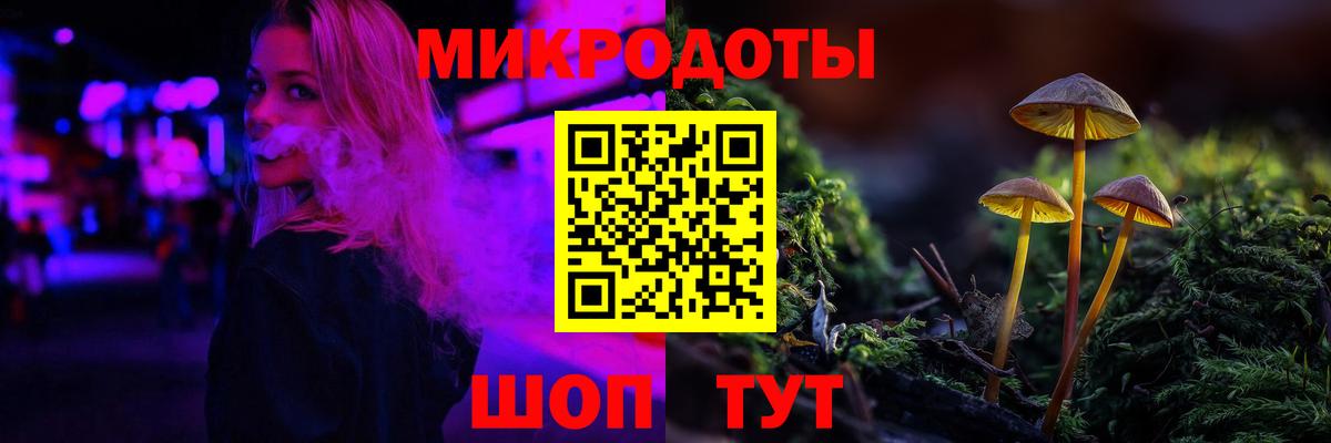 Псилоцибиновые грибы мицелий Казань