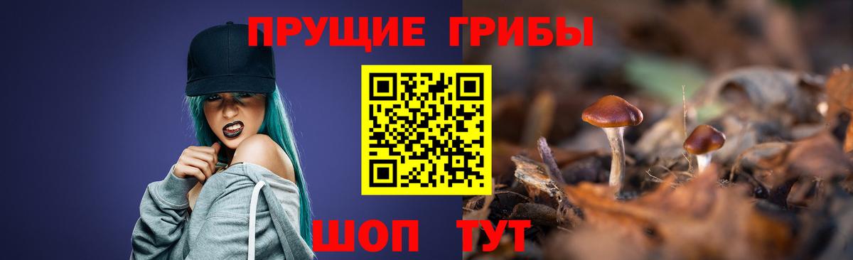 Галлюциногенные грибы Psilocybine cubensis  где продают   Казань  Вход с VPN 